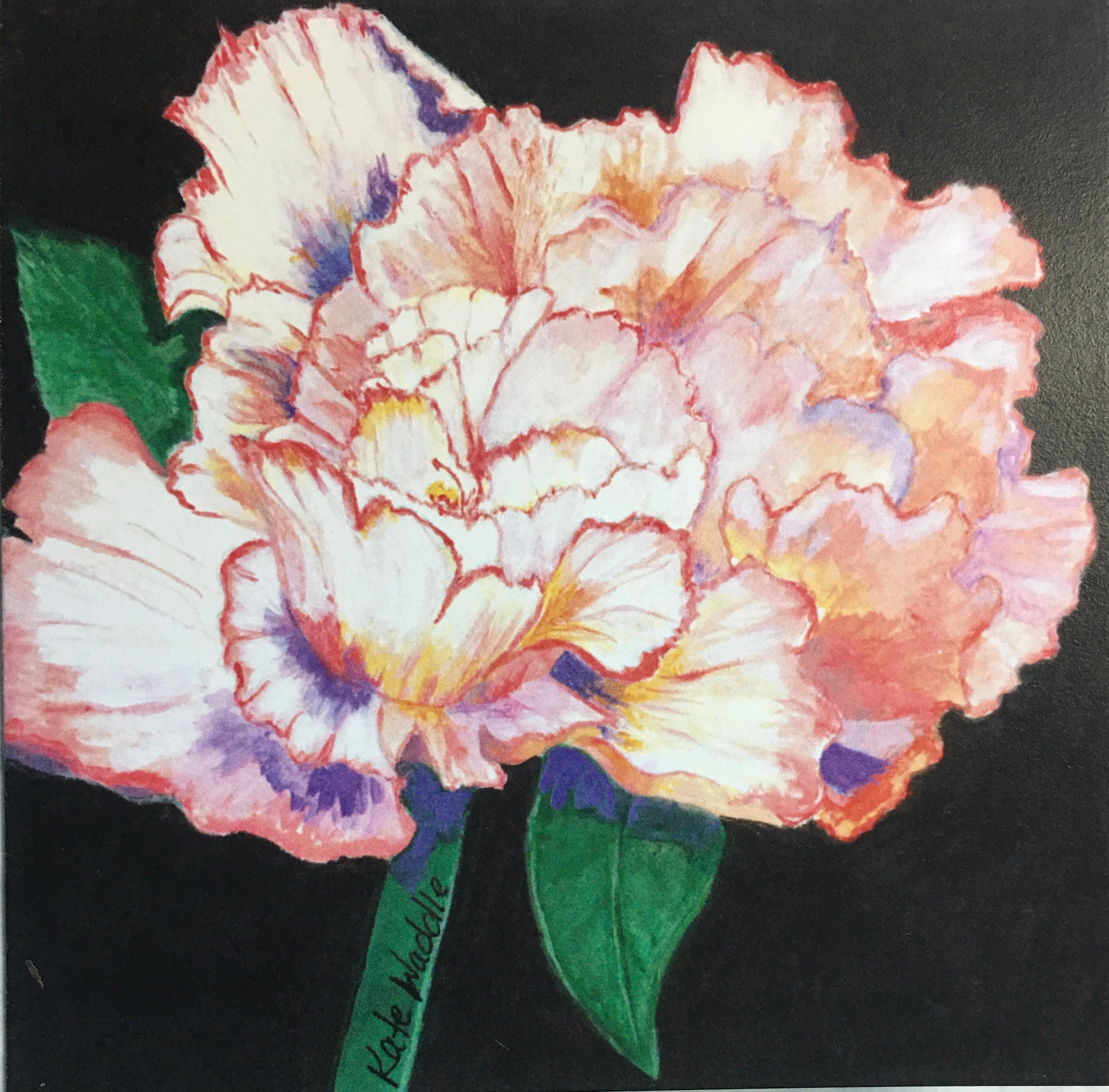 Peony