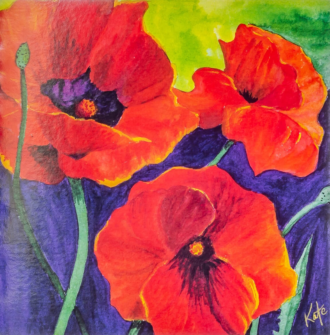 Red Poppies